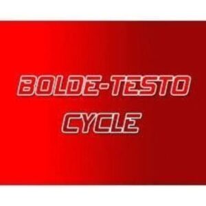 Bolde - Testo Cycle