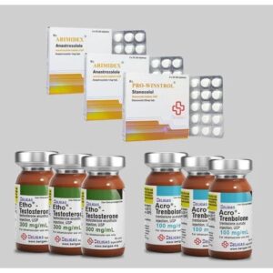 Beligas 12 Weeks Heavy Cut Stack Plus Anti Estrogen