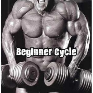 Beginner Steroid Cycle