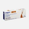 Wegovy 1mg Semaglutide